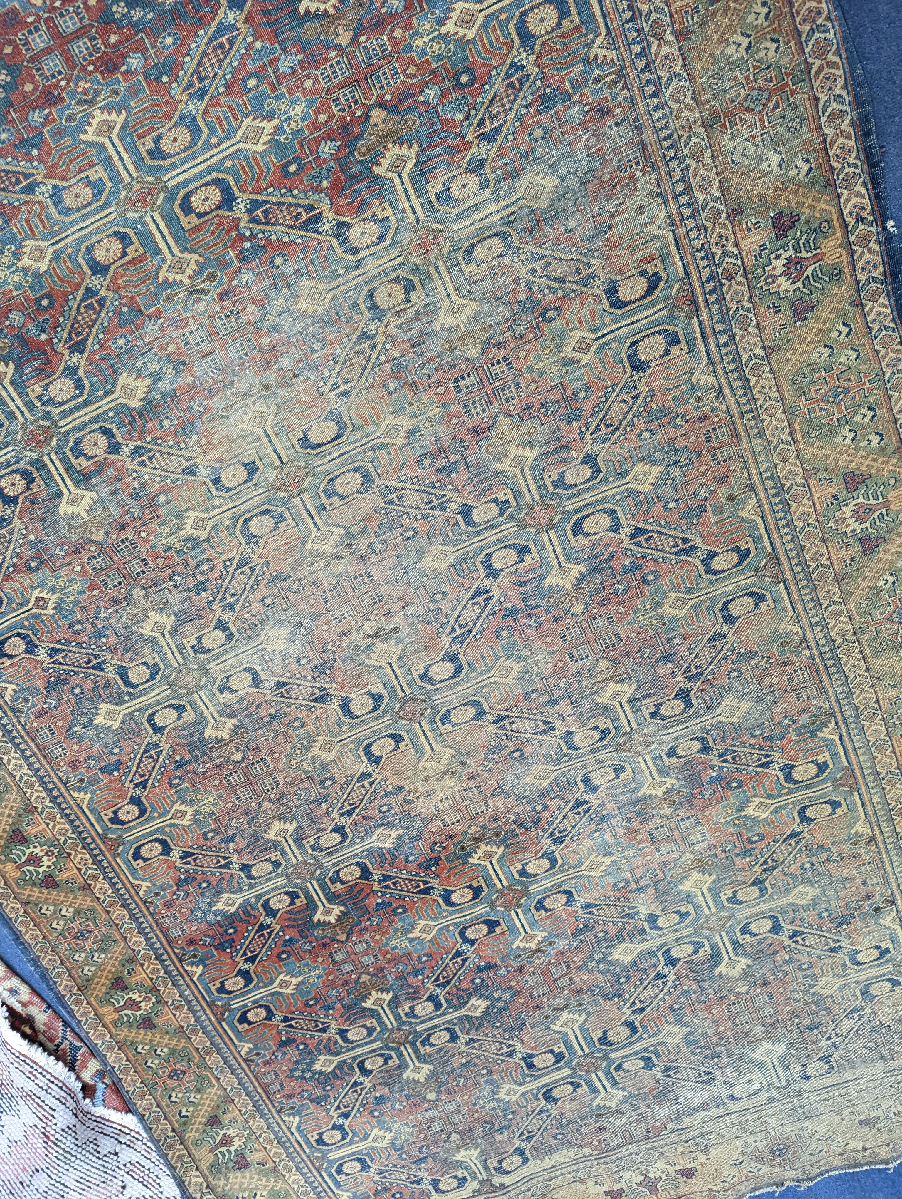 Three antique rugs, Caucasian and North West Persian, largest 230 x 154cm